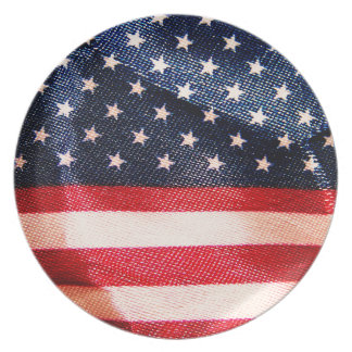 American Flag Party Plate