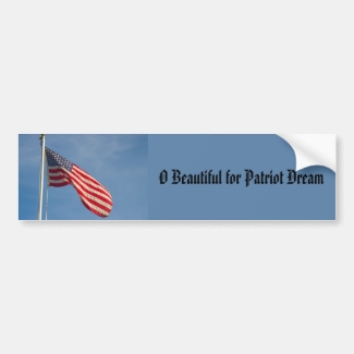 American Flag Patriot Dream