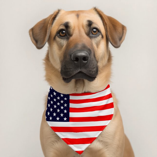 American Flag Pet Bandana Collar (Dog 2)