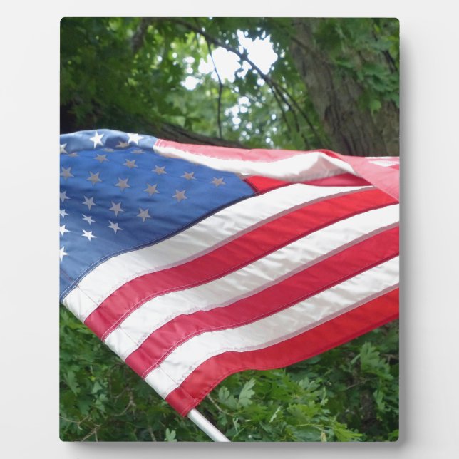 American Flag Plaque (Front)