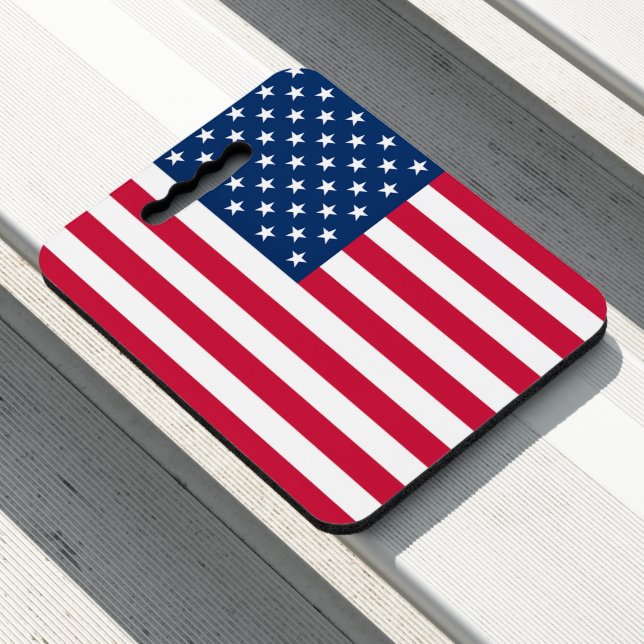 American Flag Seat Cushion USA (In Situ)