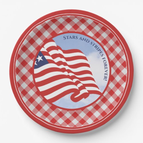 American Flag Stars and Stripes Forever _ Red Paper Plates