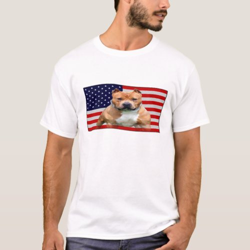 american flag T_Shirt