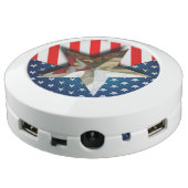 American Flag USB Charging Station (Angled Back)