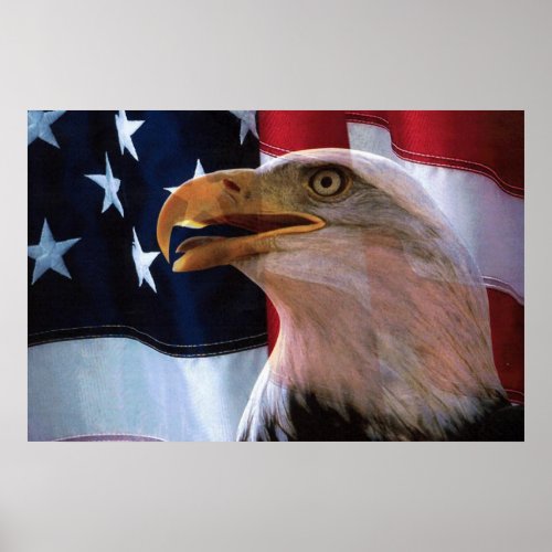 American flag with a Bald Eagle Poster