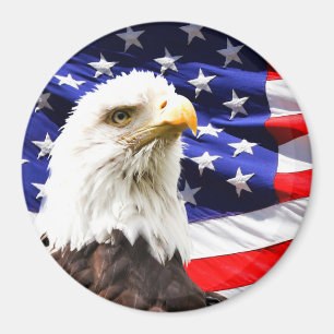 American Flag with Bald Eagle Magnet