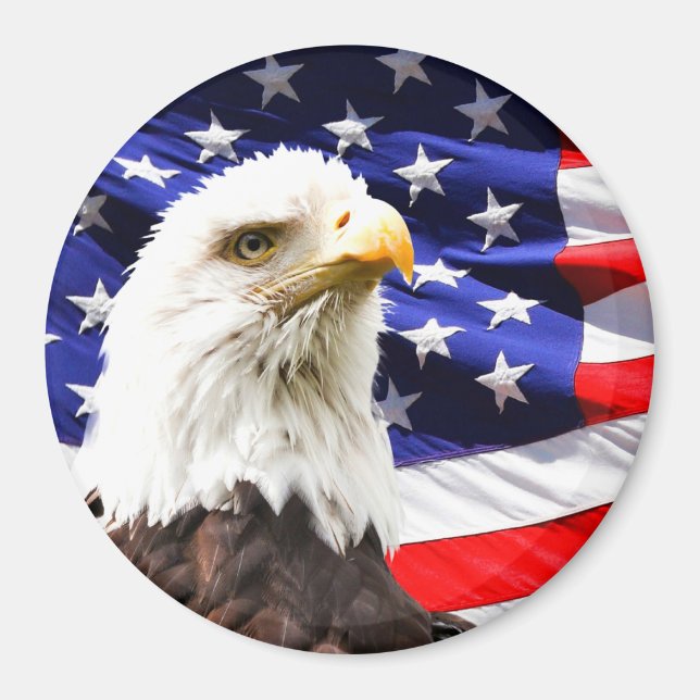 American Flag with Bald Eagle Magnet (Front)