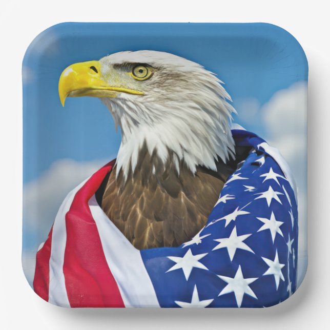American Flag With Bald Eagle Paper Plates (Front)