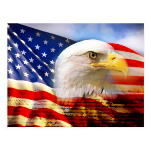 American Bald Eagle And Flag Postcards - No Minimum Quantity | Zazzle