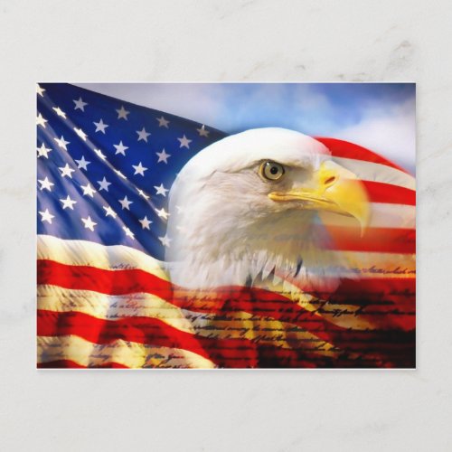 American Flag with Bald Eagle Postcard