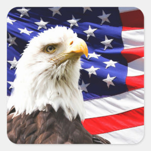American Flag with Bald Eagle Square Sticker