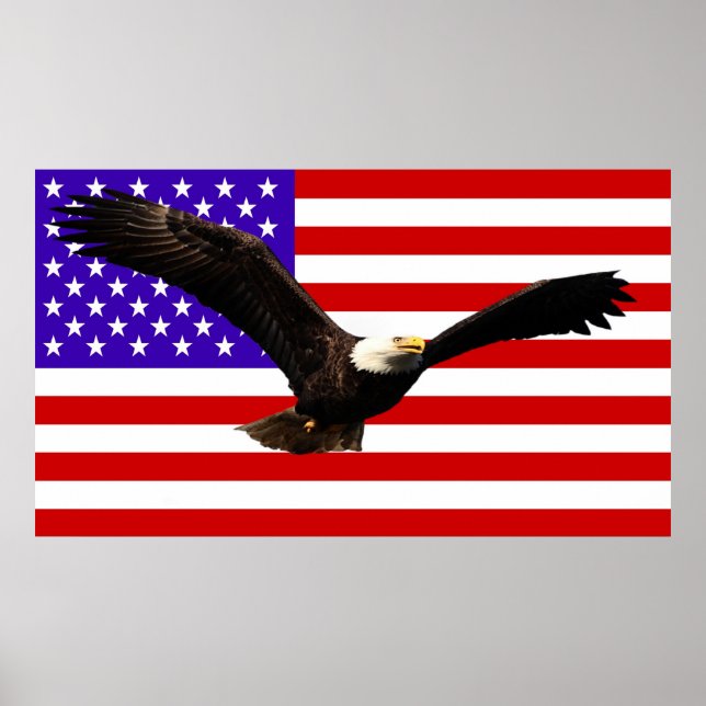 American flag with eagle USA Poster (Front)
