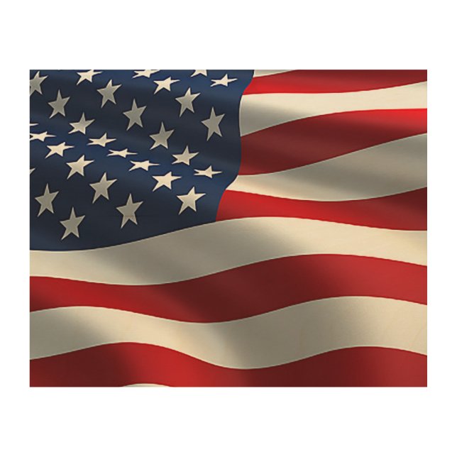 American flag  wood wall art (Front)