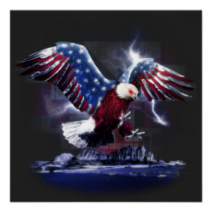 American-flagged eagle poster