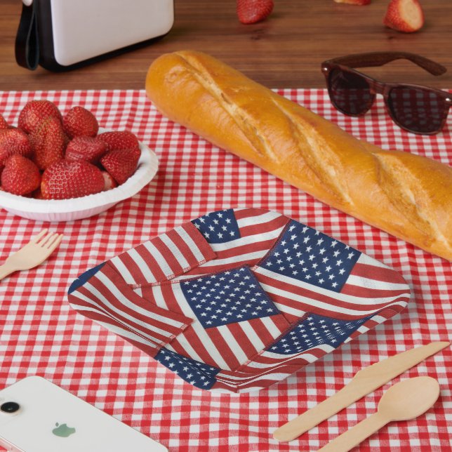 American Flags 4th of July Paper Plates (Picnic)