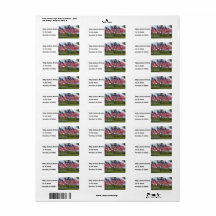 American Flags and Crosses