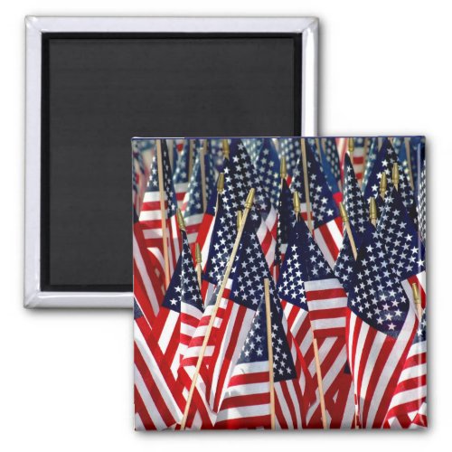 American Flags Magnet