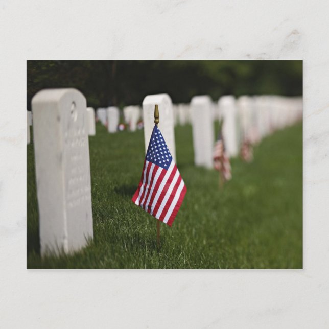 American flags on tombs of American Veterans on Postcard (Front)