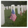 American flags on tombs of American Veterans on Tile