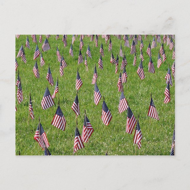 American flags postcard (Front)