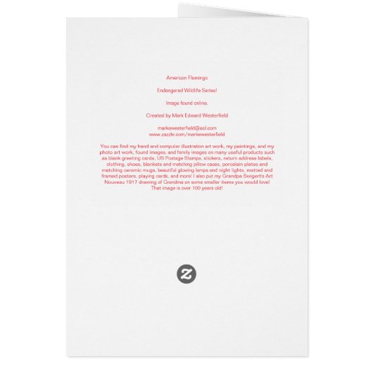 American Flamingo (Back)