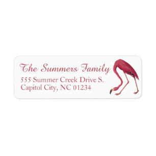 American Flamingo Audubuon Return Address Labels