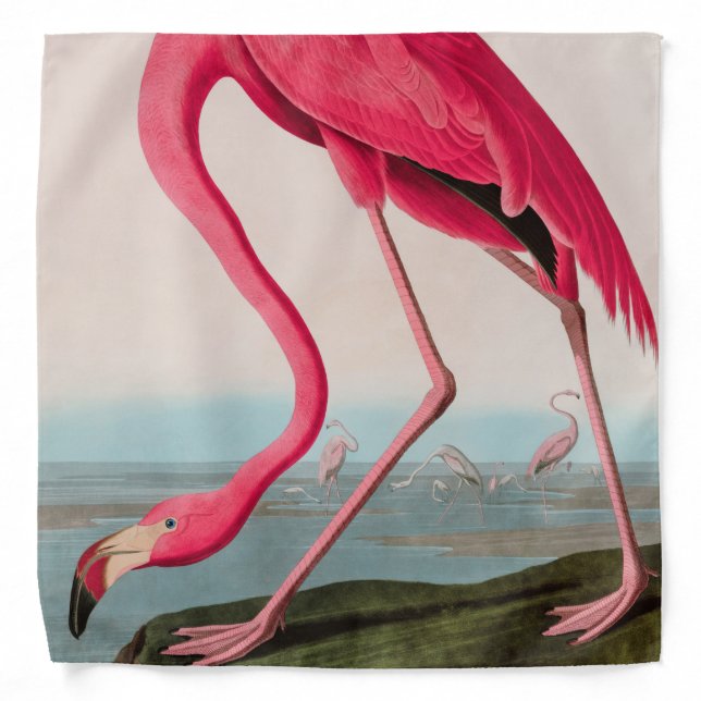 American Flamingo Birds of America Audubon Print Bandana (Front)