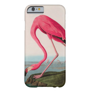 American Flamingo Birds of America Audubon Print Barely There iPhone 6 Case