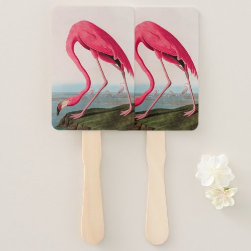 American Flamingo Birds of America Audubon Print Hand Fan