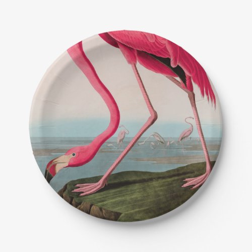 American Flamingo Birds of America Audubon Print Paper Plates