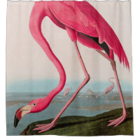 American Flamingo Birds of America Audubon Print