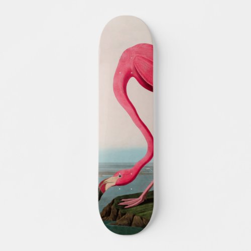 American Flamingo Birds of America Audubon Print Skateboard