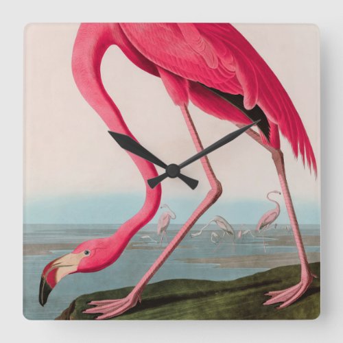 American Flamingo Birds of America Audubon Print Square Wall Clock