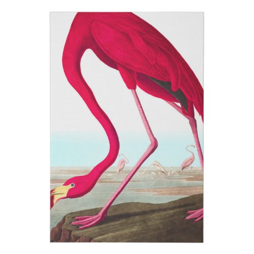 American Flamingo by John James Audubon Faux Canvas Print