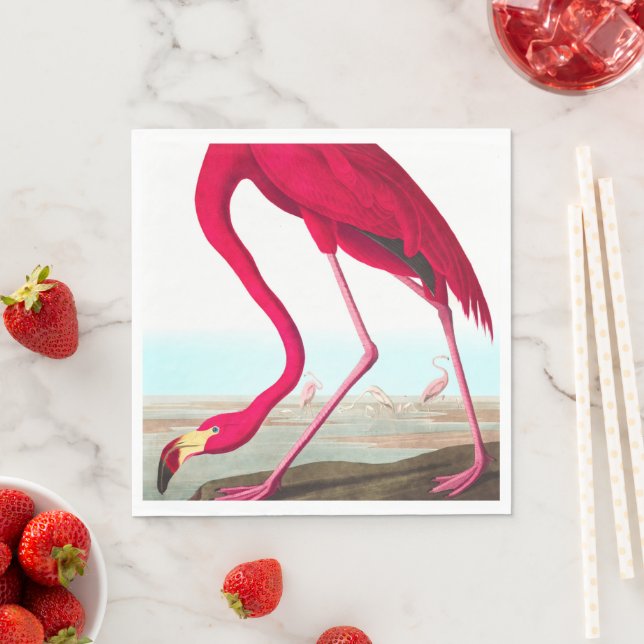 American Flamingo by John James Audubon Napkins (Insitu)