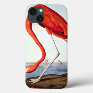 American Flamingo iPhone 13 Case
