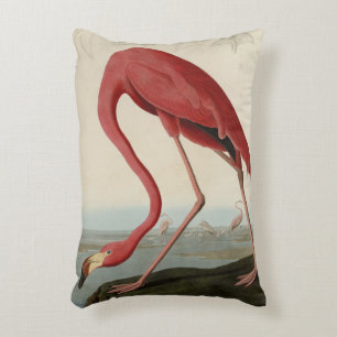 American Flamingo from Audubon's Birds of America Accent Pillow