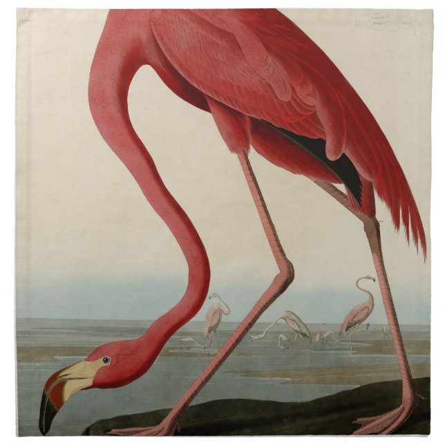 American Flamingo from Audubon's Birds of America  Cloth Napkin (Front)