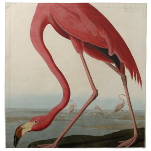 American Flamingo from Audubon's Birds of America Cloth Napkin