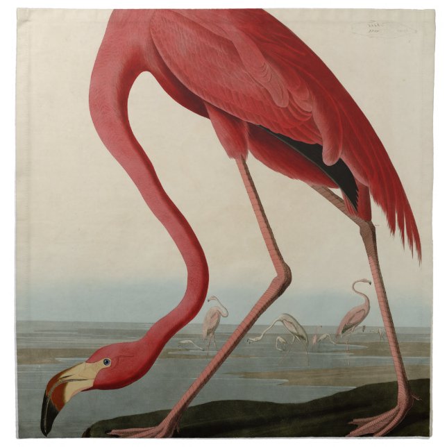 American Flamingo from Audubon's Birds of America Cloth Napkin (Front)