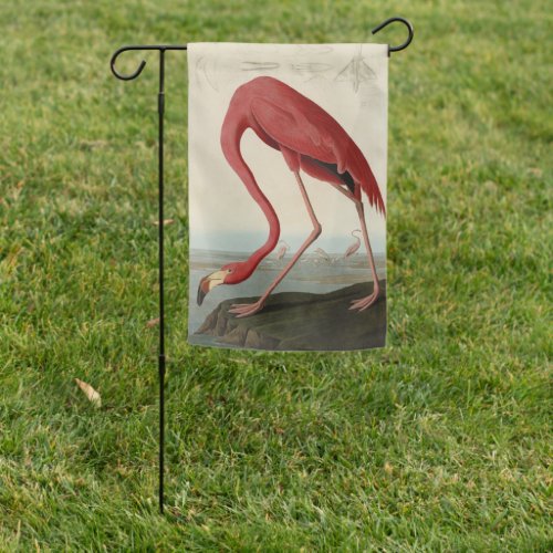 American Flamingo from Audubons Birds of America Garden Flag