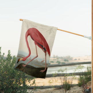 American Flamingo from Audubon's Birds of America  House Flag