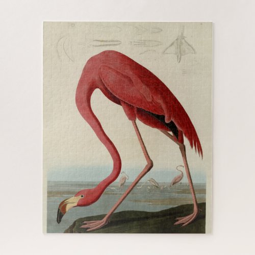 American Flamingo from Audubons Birds of America Jigsaw Puzzle