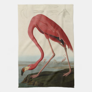 American Flamingo from Audubon's Birds of America Kitchen Towel