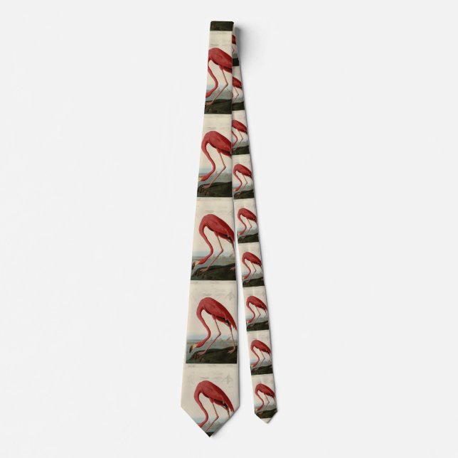 American Flamingo from Audubon's Birds of America Neck Tie (Front)