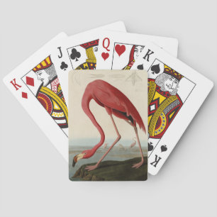 American Flamingo from Audubon's Birds of America Poker Cards