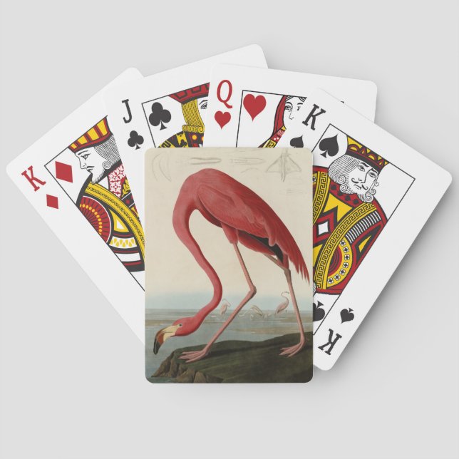 American Flamingo from Audubon's Birds of America Poker Cards (Back)