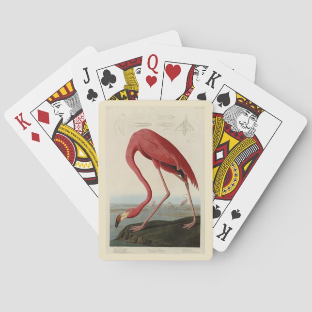 American Flamingo from Audubon's Birds of America Poker Cards (Back)