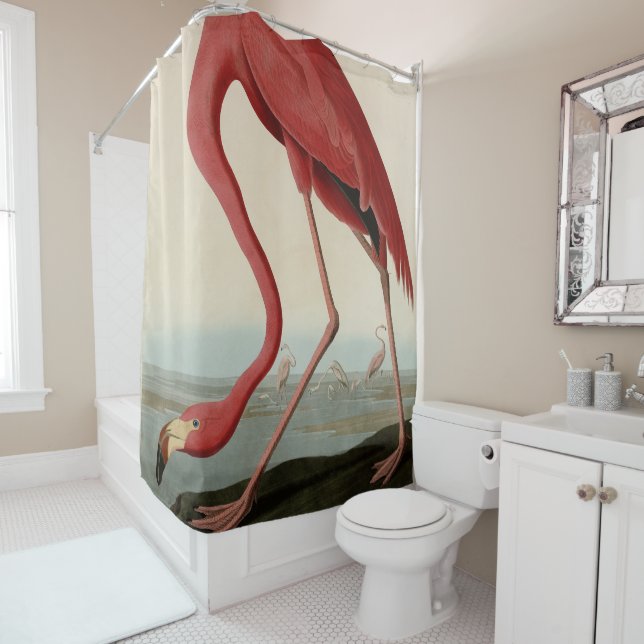 American Flamingo from Audubon's Birds of America  Shower Curtain (In Situ)