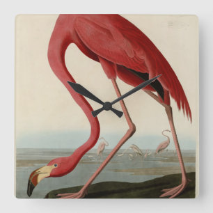 American Flamingo from Audubon's Birds of America Square Wall Clock